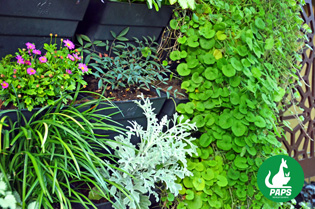 A vertical garden inspiration | Paps_2-2015060314332897616502 | ODS