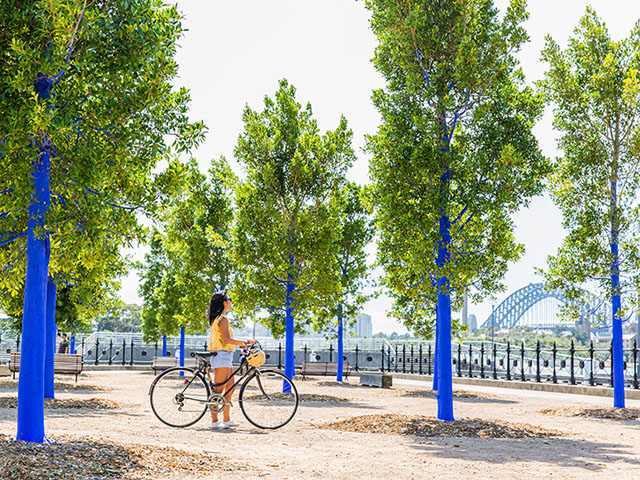 Trees Go Blue to Promote Green