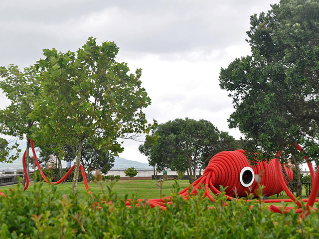 Giant Squid Stalks So Miguel